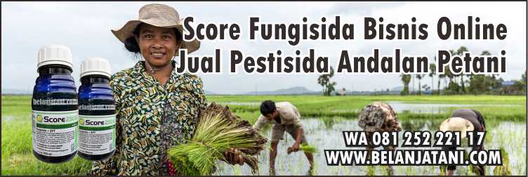 score, fungisida, bisnis, online, jual, pestisida, andalan, petani