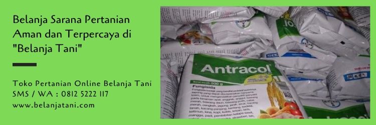 sarana pertanian,pupuk,pestisida,alat pertanian,peluang usaha,tabulampot,belanja tani