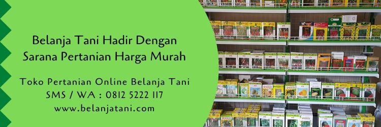 sarana pertanian,benih tanaman,pertanian,pupuk,pestisida,belanja tani