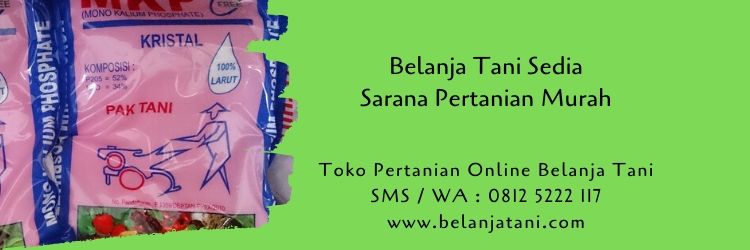 sarana pertanian,pupuk,pestisida,alat pertanian,budidaya cabe,benih cabe,belanja tani