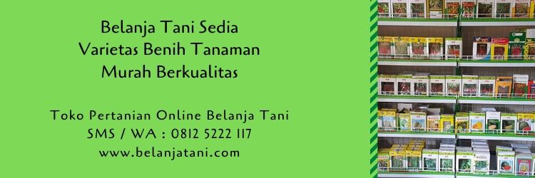 benih tanaman,benih hibrida,petani,budidaya tanaman,pertanian,belanja tani