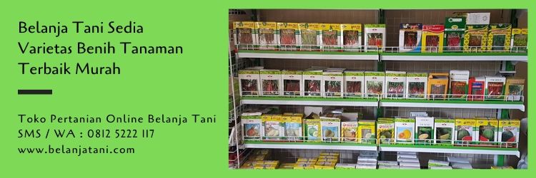 benih tanaman,budidaya tanaman,toko pertanian,toko online,tabulampot,usaha pertanian,peluang usaha,belanja tani