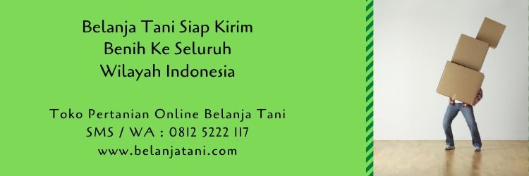 pertanian,benih tanaman,budidaya tanaman,toko pertanian,petani,belanja tani