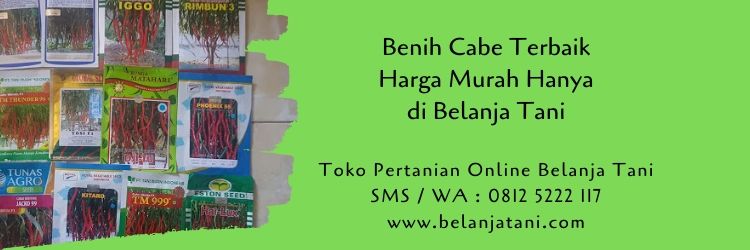 benih cabe,budidaya cabe,cara menanam cabe,jual benih murah,belanja tani