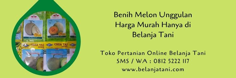 benih melon,benih melon hibrida,budidaya melon,cara menanam melon,belanja tani