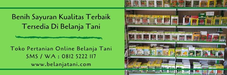 benih sayuran,benih tanaman,budidaya tanaman,pertanian organik,usaha tani,belanja tani