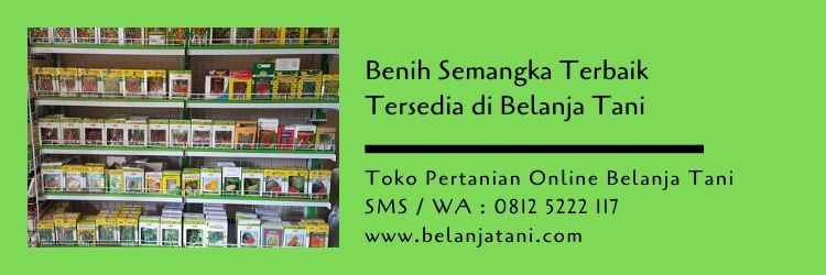 benih semangka,buah semangka,budidaya semangka,jual benih murah,belanja tani