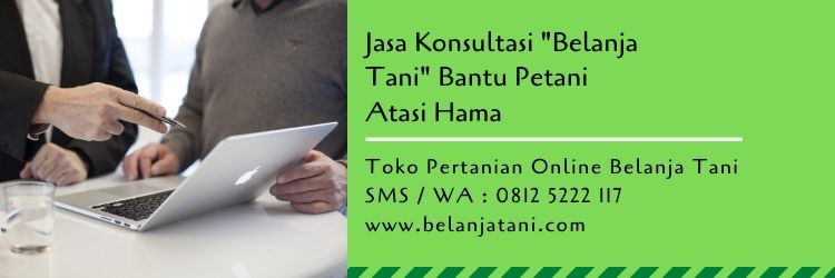 petani,konsultasi,pertanian,hama,hama tanaman,budidaya tanaman,belanja tani