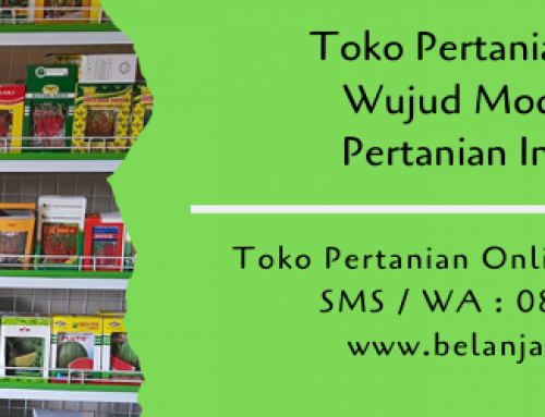 Toko Pertanian Online Wujud Modernisasi Pertanian Indonesia