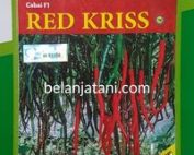 Cabe Red Kriss, Cabe Red Kriss, Cabe Red Kriss F1, Cabai Red Kriss, Cabe Keriting Red Kriss, Keunggulan cabe Red Kriss, Cara Merawat Cabe Red Kriss, Karakteristik Cabai Red Kriss,Cabai Keriting Red Kriss, Cabe Merah Keriting Red Kriss, Harga Murah, Belanja Tani, Takii Seed
