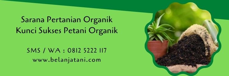 sarana pertanian,tanaman organik,pupuk organik,pestisida,budidaya tanaman organik,pertanian organik,belanja tani