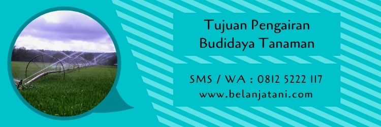 pengairan,budidaya tanaman,pertanian,irigasi,petani,air,tanaman,usaha pertanian,belanja tani