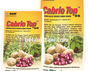 Fungisida Cabrio Top, Cabrio Top, Jual Fungisida Cabrio Top, Cabrio Top 60 WG, Basf, Basf Indonesia, Belanja Tani