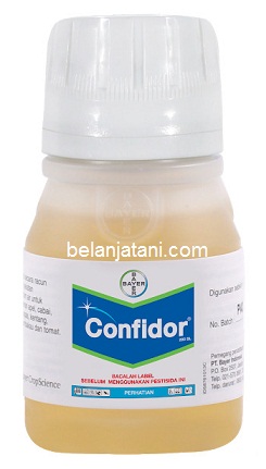 Confidor, Confidor 200 SL, Insektisida Confidor 200 SL, Jual Confidor SL Murah, Bayer, Bayer Indonesia, Belanja Tani