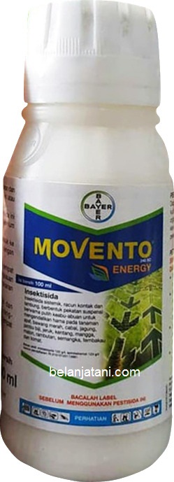 Movento, Insektisida Movento, Movento 240 SC, Insektisida Sistemik Untuk Kutu Kebul, Bayer, Bayer Indonesia, Belanja Tani