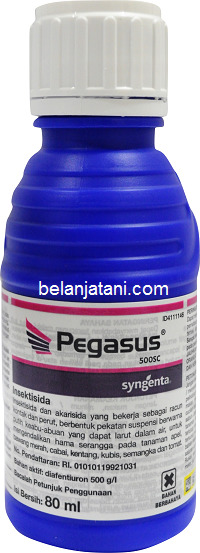 Pegasus, Pegasus 500 SC, Insektisida Pegasus, Insektisida Pegasus Terbaru, Insektisida Pegasus 500 SC, Insektisida Pegasus Murah, Insektisida Pegasus 500 SC Terbaru, Jual Insektisida Terbaik, Syngenta, Syngenta Indonesia, PT Syngenta Indonesia, Produk Syngenta, Belanja Tani