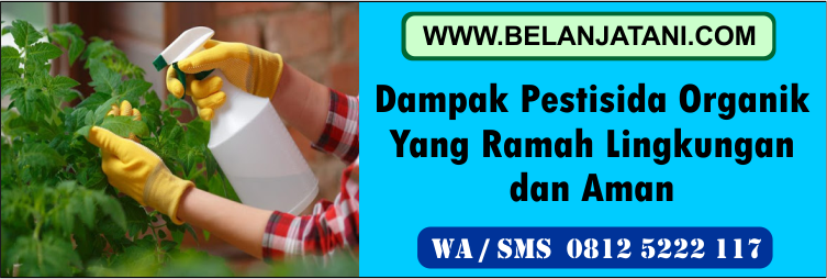 dampak, pestisida, organik, ramah, lingkungan, aman