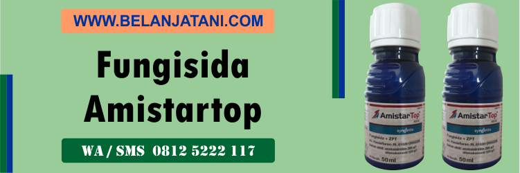 fungisida, amistartop