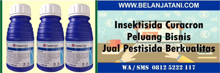 insektisida, curacron, peluang, bisnis, jual, pestisida, berkualitas