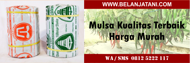 Mulsa, Kualitas, Terbaik, Harga, Murah