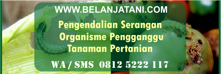 pengendalian, serangan, organisme, pengganggu, tanaman, pertanian