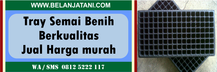 Tray, Semai, Benih, Berkualitas, Jual, Harga, Murah