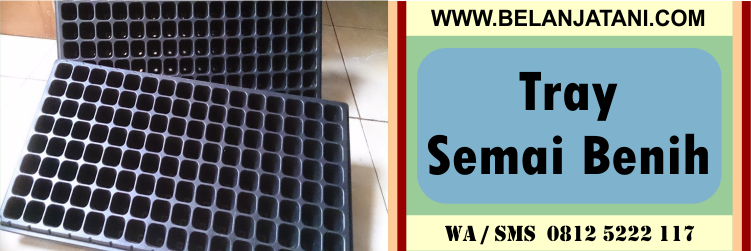 Tray, Semai, Benih