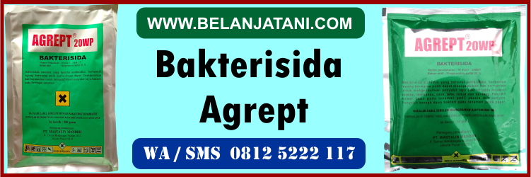 bakterisida, agrept
