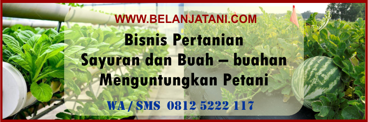 bisnis, pertanian, sayuran, buah - buahan, menguntungkan, petani