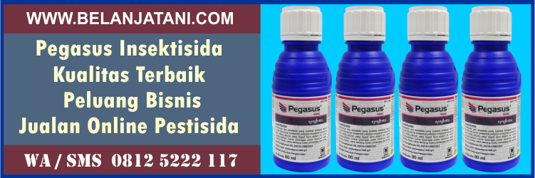 pegasus, insektisida, kualitas, terbaik, peluang, bisnis, jualan, online, pestisida