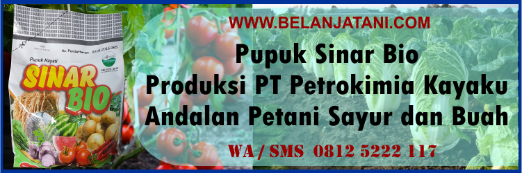 pupuk, sinar, bio, produksi, pt, petrokimia, kayaku, andalan, petani, sayur, buah