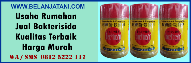 Usaha, rumahan, jual, bakterisida, kualitas, terbaik, harga, murah