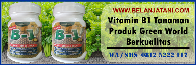 vitamin, b1, tanaman, produk, green, world, berkualitas