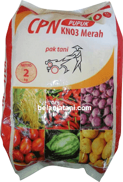 KNO3, KNO3 Merah, Pupuk CPN Prill, Pupuk KNO3 Merah, KNO3 2 Kg, Pupuk KNO3 Pak Tani, Pupuk KNO3 Cap Traktor, Pupuk KNO3, Pupuk Daun KNO3 Terbaru, Harga Pupuk KNO3, KNO3 Murah Terbaik, Jual Pupuk KNO3, Pupuk KNO3 Murah, Pupuk KNO3 Terbaik, Pupuk Buah KNO3 Terbaik, Pupuk Majemuk KNO3, Pupuk Daun KNO3 Terbaru, Cara Menggunakan Pupuk KNO3, Cara Pakai Pupuk KNO3, Jual Pupuk KNO3 Murah, Pupuk Daun KNO3 Murah, Dosis Pemakaian Pupuk KNO3 Terbaik, KNO3 Adalah, Pupuk KNO3 Adalah, Pupuk Daun Terbaik, KNO3 Pupuk, Manfaat Pupuk KNO3, Saprotan Utama, CV Saprotan Utama, Produk Saprotan Utama, Belanja Tani