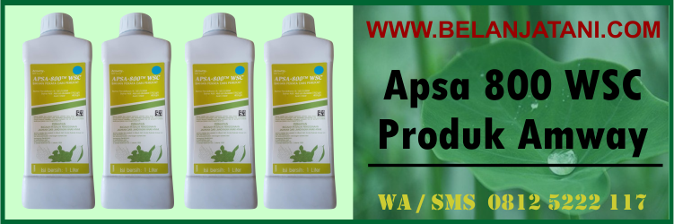 apsa, 80, wsc, produk, amway
