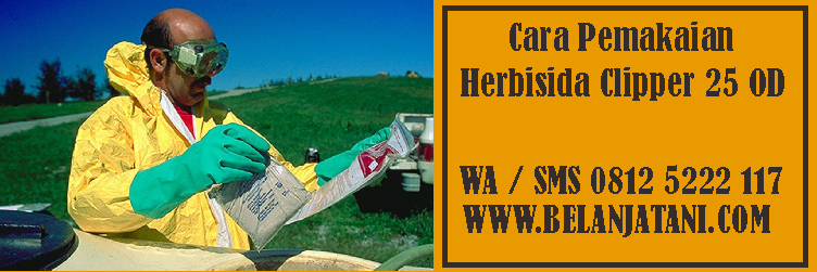 herbisida,herbisida clipper,racun rumput,rumput liar,tanaman padi