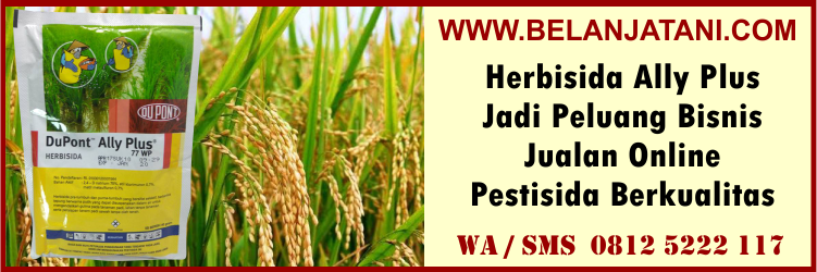 herbisida, ally, plus, jadi, peluang, bisnis, jualan, online, pestisida, berkualitas