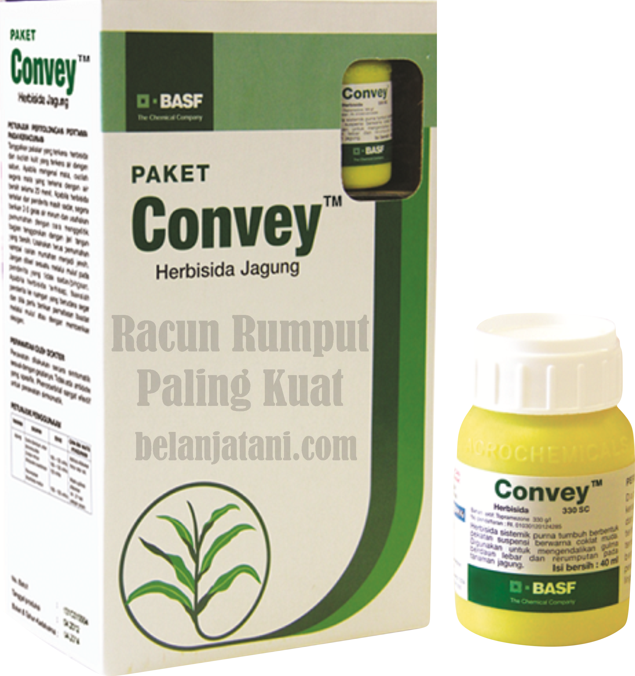 herbisida convey,racun rumput,tanaman jagung,herbisida
