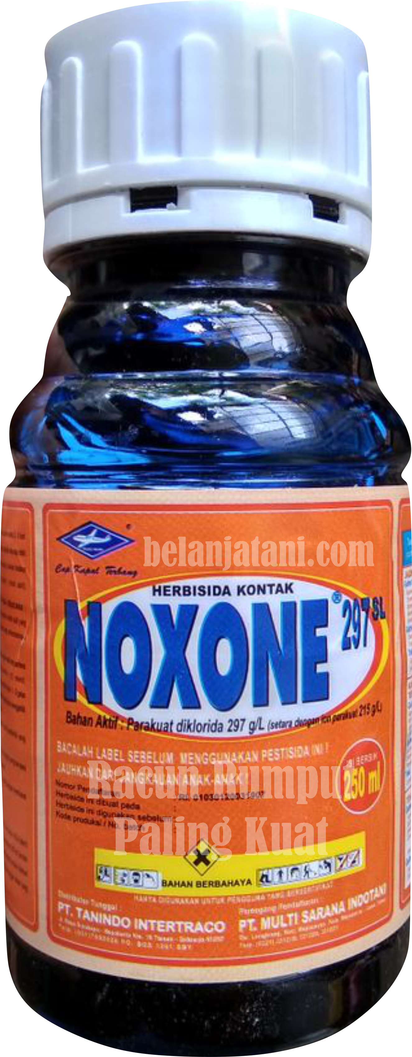 herbisida noxone,tanaman jagung,racun rumput,herbisida jagung