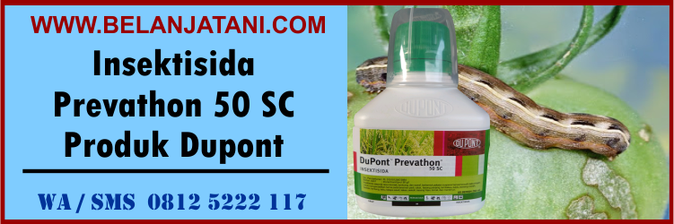 insektisida, prevathon, 50 sc, produk, dupont