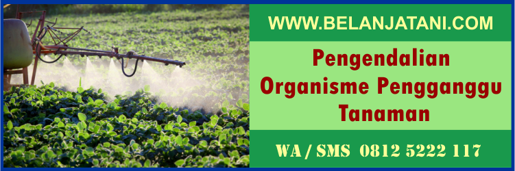 pengendalian, organisme, pengganggu, tanaman