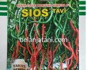 Cabe Sios Tavi, Cabe Sios, Cabe Sios Bisi, Cabe keriting Sios, Cabe Anti Virus Sios, CMK Sios Tavi, Deskripsi Cabe Sios Tavi, Keunggulan Cabe Sios Tavi, Cabe Sios Tavi Cap Kapal Terbang, Bisi, Bisi International, Cabe Sios terbaru, Cabe Sios Terbaik, Harga Bibit Cabe Sios Tavi, Bibit Cabe Sios Tavi, Jual Cabe Sios Murah, Jual Cabe Sios Tavi Murah, Belanja Tani