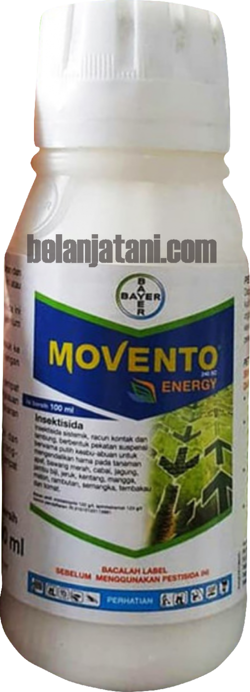 Pestisida,hama,tanaman cabe,insektisida,pertanian, movento energy 240 sc