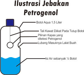 Jual Petrogenol Untuk Lalat Buah Harga Murah Belanja Tani Petrogenol,Lalat Buah,Pertanian,Benih,Cabe