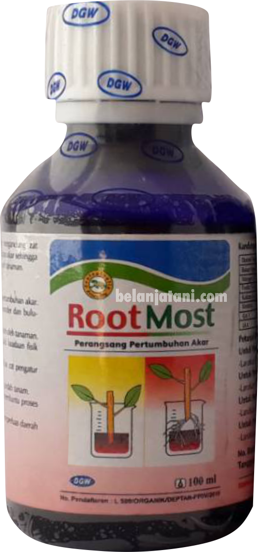 ZPT Padi, Fungisida Untuk Padi Kerdil,Virus,Tanaman Padi,Fungisida