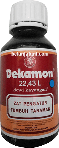 ZPT,Pupuk,Tanaman Padi,Pertanian,Hortikultura