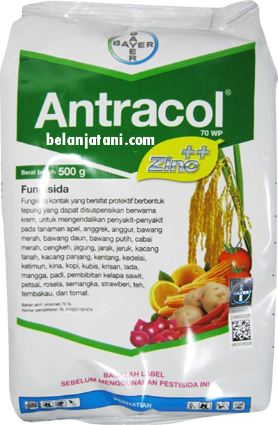 Penyakit Blas,Tanaman Padi,Petani,Benih,Hibrida