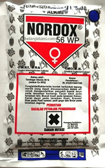 Obat Jamur,Tanaman Cabe , Pertanian