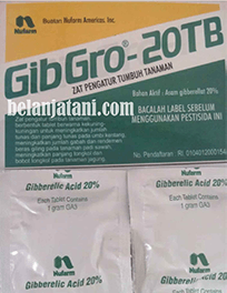 Jual ZPT GibGro 20TB Harga Murah Kualitas Terbaik Di Belanja Tani ZPT,Pupuk,Tanaman Padi,Pertanian,Hortikultura