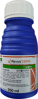 Tanaman Pertanian,Petani,Pertanian,Pestisida,Jamur